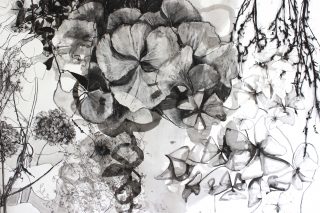we-drew-a-garden2