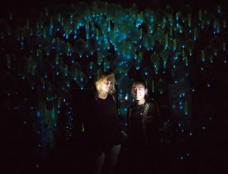 sho konishi and viktoria tamas