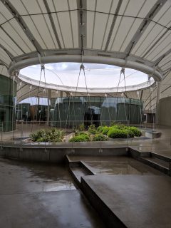 MVIMG_20190424_121307