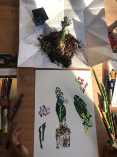 MFA drawing student Isabel Moura's art.