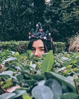Ariel Ronayne image