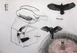 Shrouded by Suzy O'Mullane