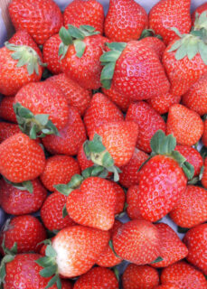 strawberries 5x7