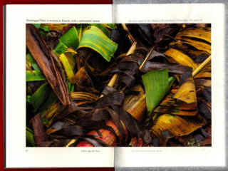 Ange-Frédéric Koffi – Word images & myth (2023)