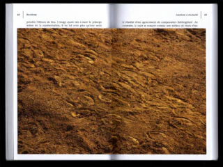 Ange-Frédéric Koffi – Word images & myth (2023)