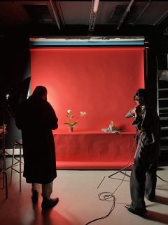 IMG_6507