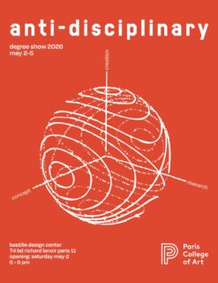 ANTI DISCIPLINARY